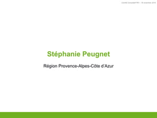 Comité Consultatif PEI – 18 novembre 2016
TITRE
Stéphanie Peugnet
Région Provence-Alpes-Côte d’Azur