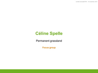 Comité Consultatif PEI – 18 novembre 2016
TITRE
Céline Spelle
Permanent grassland
Focus group