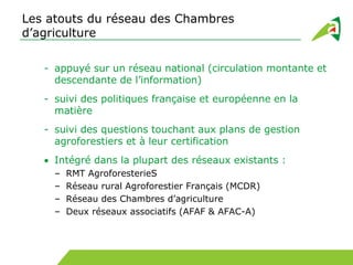 Les atouts du réseau des Chambres
d’agriculture
- appuyé sur un réseau national (circulation montante et
descendante de l’information)
- suivi des politiques française et européenne en la
matière
- suivi des questions touchant aux plans de gestion
agroforestiers et à leur certification
Intégré dans la plupart des réseaux existants :
– RMT AgroforesterieS
– Réseau rural Agroforestier Français (MCDR)
– Réseau des Chambres d’agriculture
– Deux réseaux associatifs (AFAF & AFAC-A)