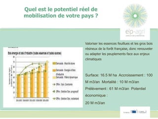 Quel est le potentiel réel de
mobilisation de votre pays ?
Valoriser les essences feuillues et les gros bois
résineux de la forêt française, donc renouveler
ou adapter les peuplements face aux enjeux
climatiques
Surface: 16.5 M ha Accroissement : 100
M m3/an Mortalité : 10 M m3/an
Prélèvement : 61 M m3/an Potentiel
économique :
20 M m3/an