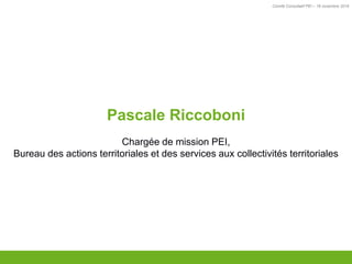 Comité Consultatif PEI – 18 novembre 2016
TITRE
Pascale Riccoboni
Chargée de mission PEI,
Bureau des actions territoriales et des services aux collectivités territoriales