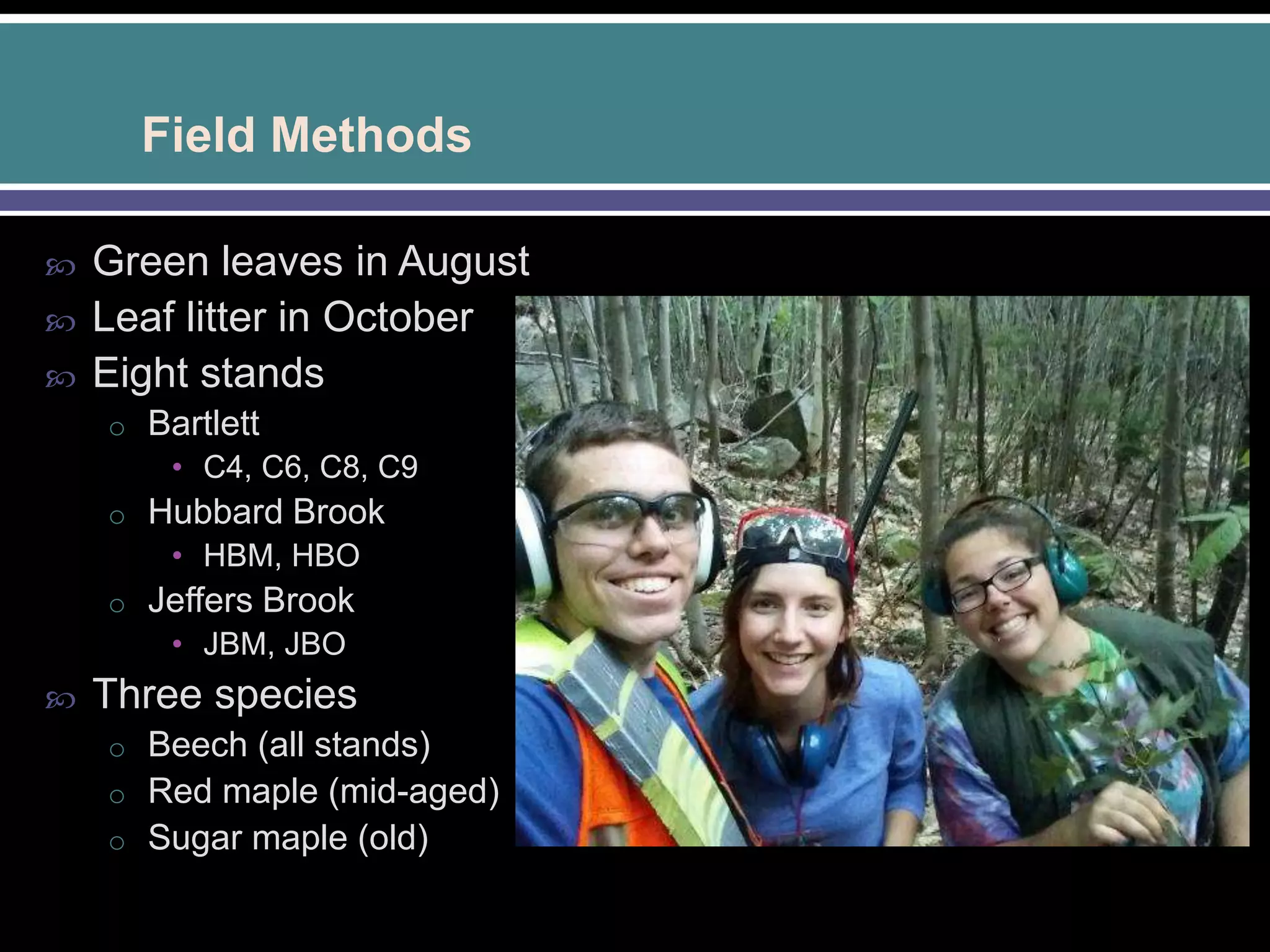 Field Methods
 Green leaves in August
 Leaf litter in October
 Eight stands
o Bartlett
• C4, C6, C8, C9
o Hubbard Brook
• HBM, HBO
o Jeffers Brook
• JBM, JBO
 Three species
o Beech (all stands)
o Red maple (mid-aged)
o Sugar maple (old)
 