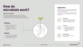 34 QUARTERLY RESULTS • NOVOZYMES OVERVIEW • STRATEGY • MARKET OVERVIEW • SUSTAINABILITY • FINANCIAL REVIEW34
LATEST RESULTS • OVERVIEW AND STRATEGY • MARKET OVERVIEW • SUSTAINABILITY • FINANCIALS AND GOVERNANCE
 