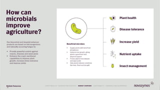 35 QUARTERLY RESULTS • NOVOZYMES OVERVIEW • STRATEGY • MARKET OVERVIEW • SUSTAINABILITY • FINANCIAL REVIEW35
LATEST RESULTS • OVERVIEW AND STRATEGY • MARKET OVERVIEW • SUSTAINABILITY • FINANCIALS AND GOVERNANCE
 