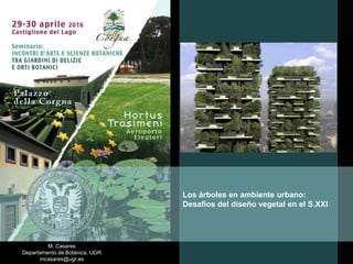 M. Casares
Departamento de Botánica, UGR
mcasares@ugr.es
Los árboles en ambiente urbano:
Desafíos del diseño vegetal en el S.XXI
 