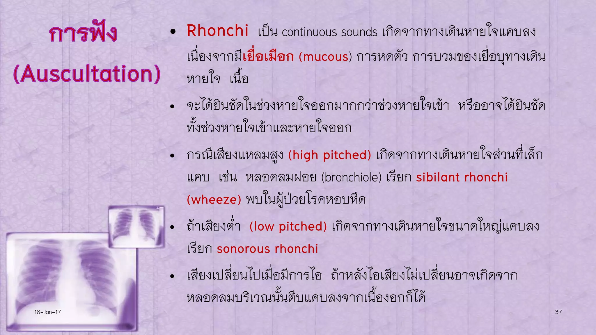 2016 Respiratory Assessment | PDF