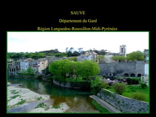 SAUVE
Département du Gard
Région Languedoc-Roussillon-Midi-Pyrénées
 