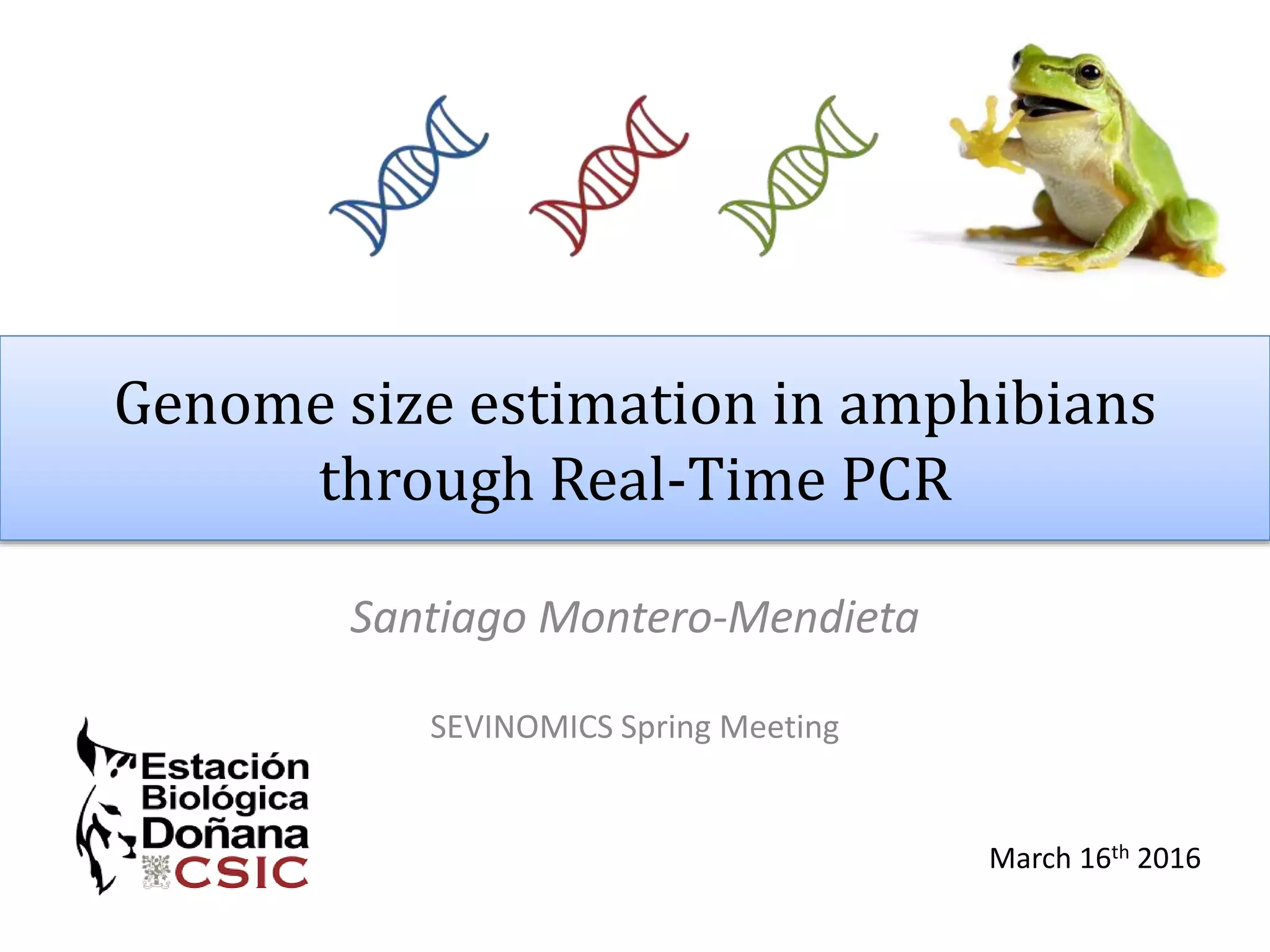 Genome size estimation in amphibians
through Real-Time PCR
Santiago Montero-Mendieta
SEVINOMICS Spring Meeting
March 16th 2016
 