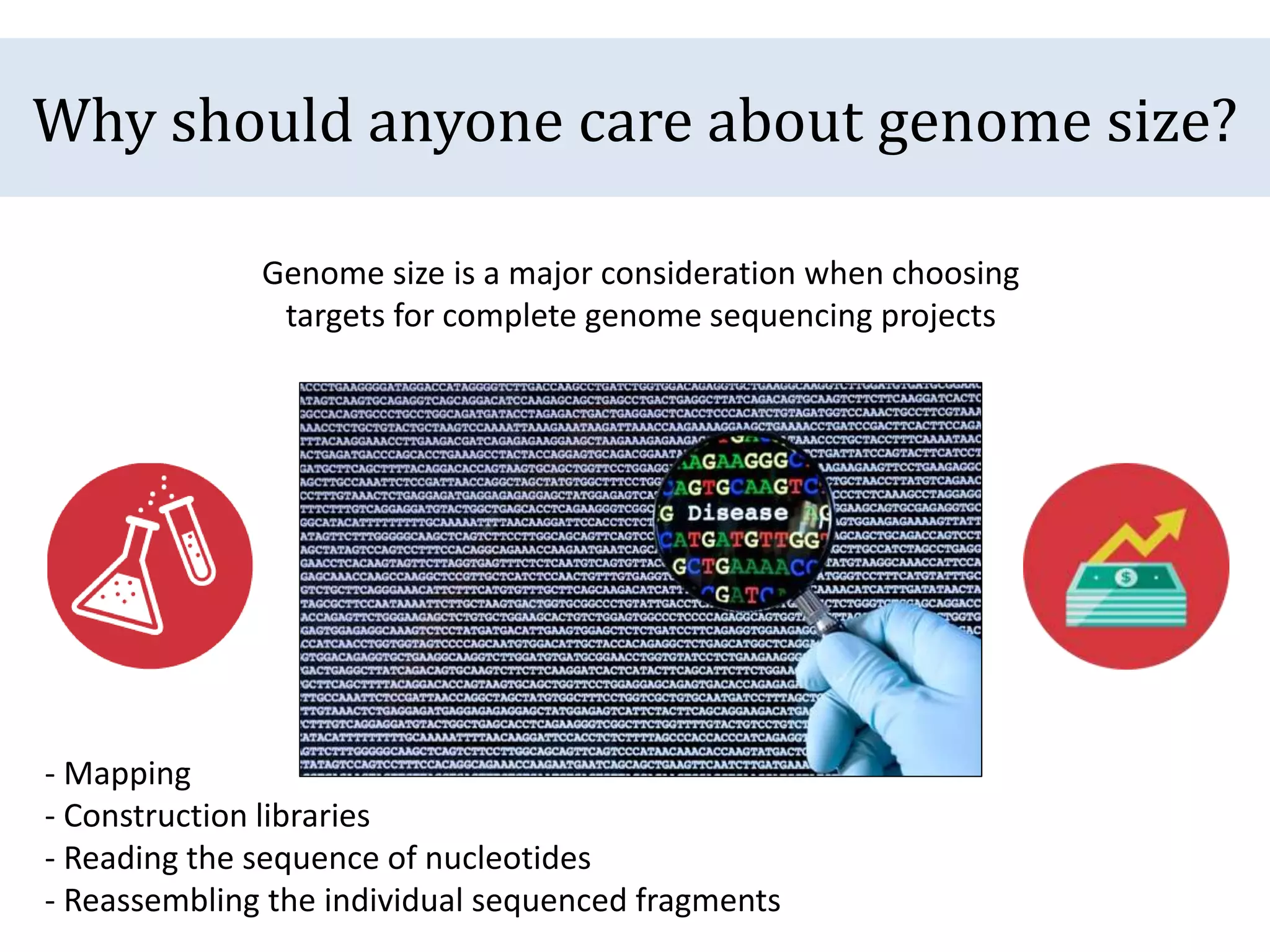 Why should anyone care about genome size?
Genome size is a major consideration when choosing
targets for complete genome sequencing projects
- Mapping
- Construction libraries
- Reading the sequence of nucleotides
- Reassembling the individual sequenced fragments
 