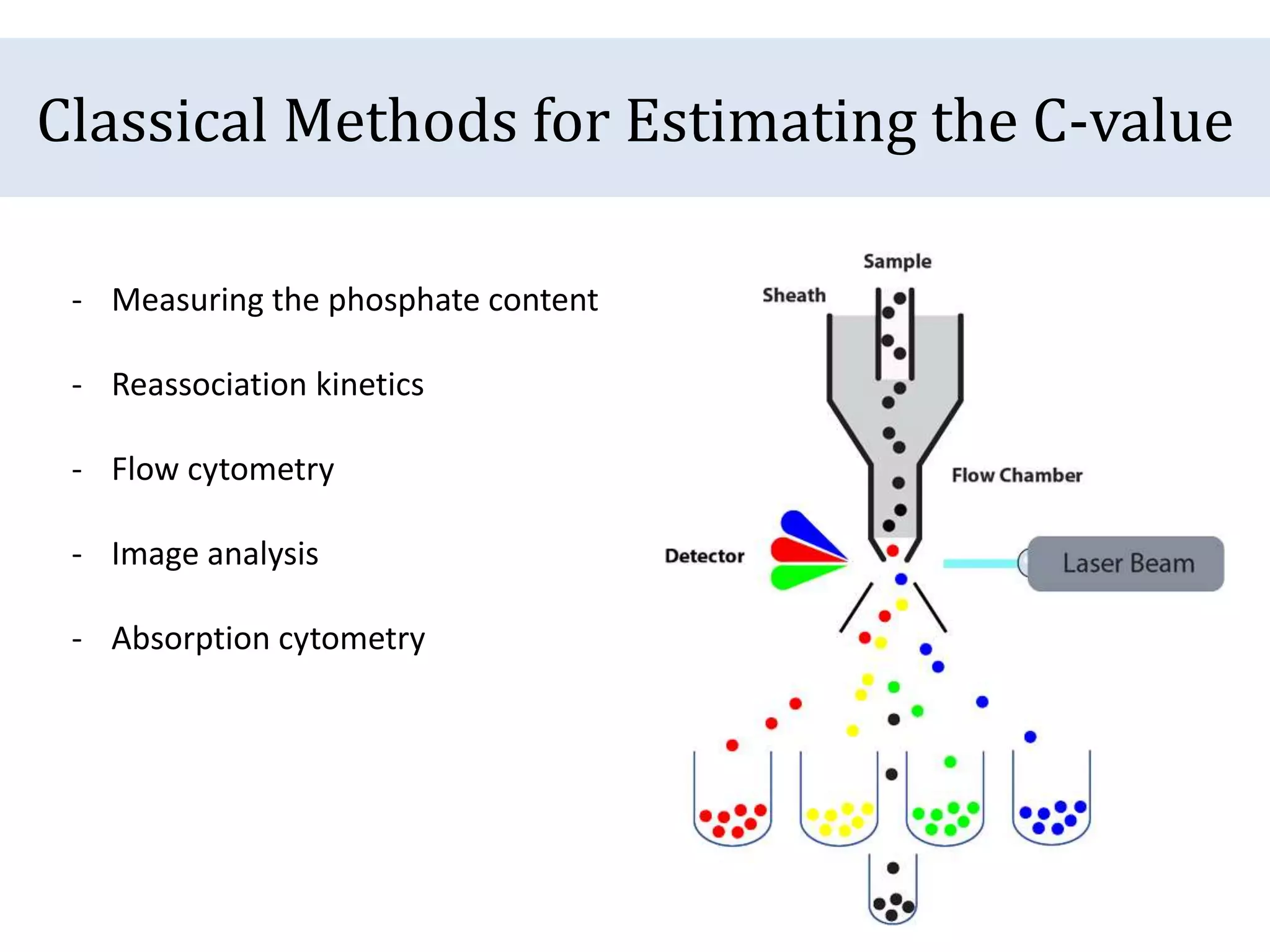 Classical Methods for Estimating the C-value
- Measuring the phosphate content
- Reassociation kinetics
- Flow cytometry
- Image analysis
- Absorption cytometry
 