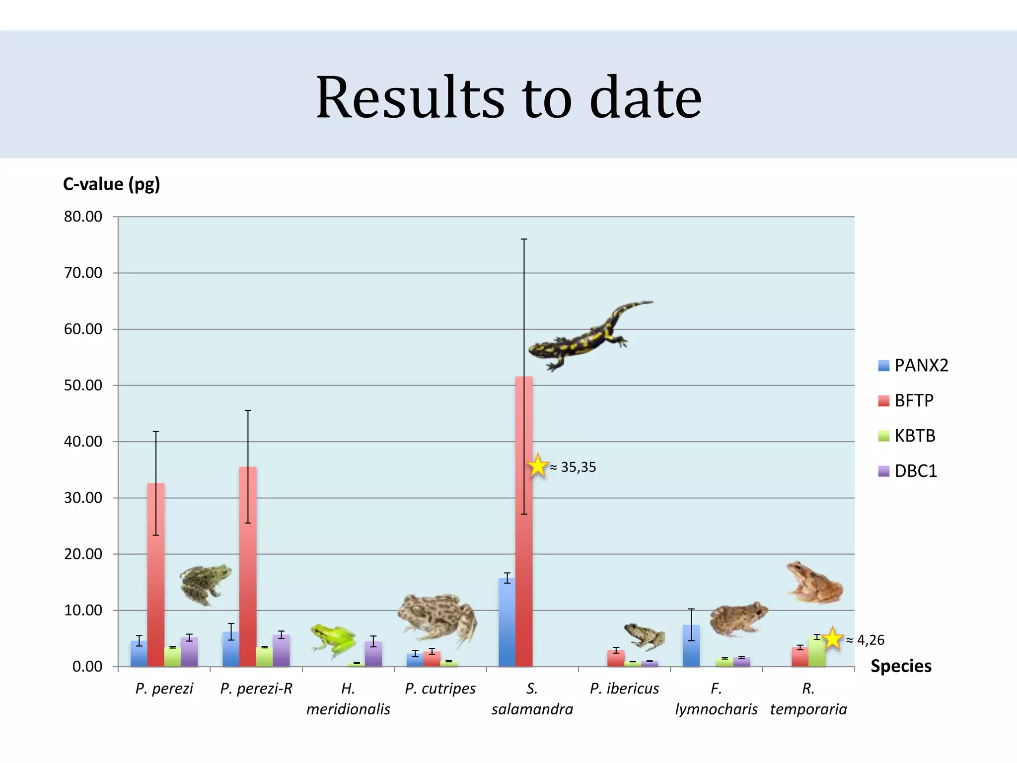 Results to date
0.00
10.00
20.00
30.00
40.00
50.00
60.00
70.00
80.00
P. perezi P. perezi-R H.
meridionalis
P. cutripes S.
salamandra
P. ibericus F.
lymnocharis
R.
temporaria
C-value (pg)
Species
PANX2
BFTP
KBTB
DBC1
≈ 4,26
≈ 35,35
 