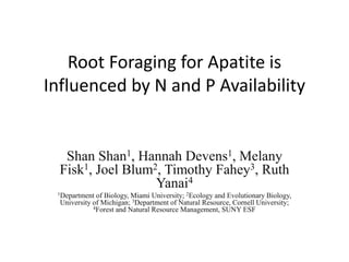 Root Foraging for Apatite is
Influenced by N and P Availability
Shan Shan1, Hannah Devens1, Melany
Fisk1, Joel Blum2, Timothy Fahey3, Ruth
Yanai4
1Department of Biology, Miami University; 2Ecology and Evolutionary Biology,
University of Michigan; 3Department of Natural Resource, Cornell University;
4Forest and Natural Resource Management, SUNY ESF
 