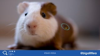 #SMX #XXA @bigalittlea#SMX #XXA @bigalittlea
 