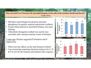 Does elevated N or P increase the microbial biomass in the soils of the northern hardwood forests?
Cindy Sosa
Pictures tak...