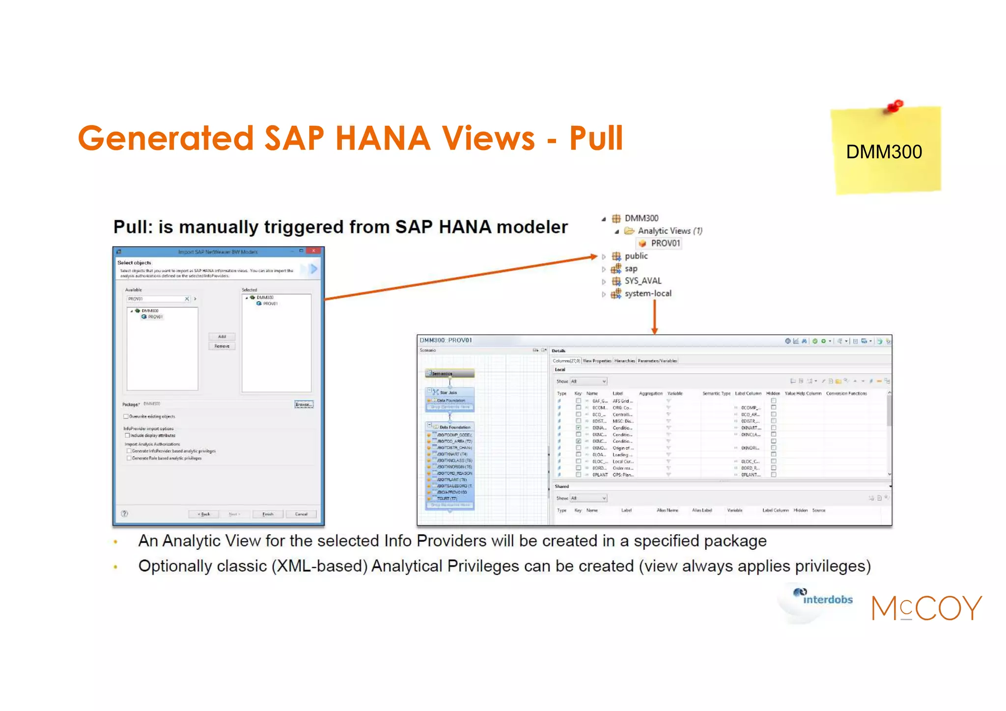 Generated SAP HANA Views - Pull DMM300
 