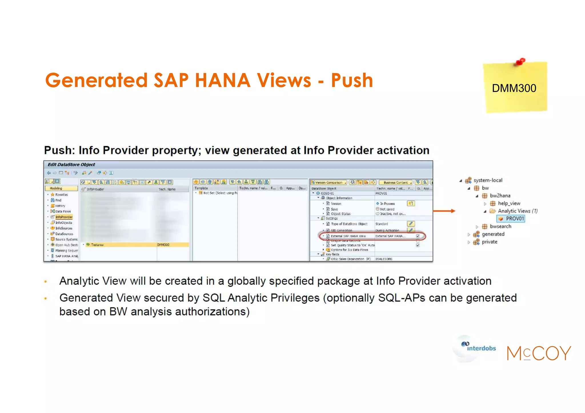 Generated SAP HANA Views - Push DMM300
 