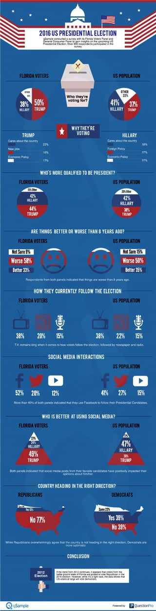 2016 USA Presidential Election Infographic 