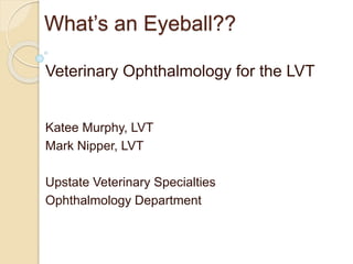 What’s an Eyeball??
Veterinary Ophthalmology for the LVT
Katee Murphy, LVT
Mark Nipper, LVT
Upstate Veterinary Specialties
Ophthalmology Department
 