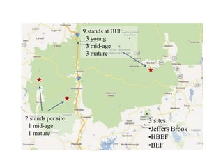 3 sites:
•Jeffers Brook
•HBEF
•BEF
2 stands per site:
1 mid-age
1 mature
9 stands at BEF:
3 young
3 mid-age
3 mature
Multi...
