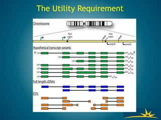 The Utility Requirement
 