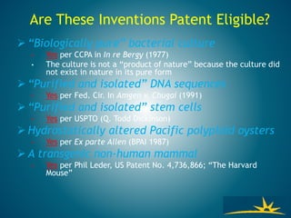 Are These Inventions Patent Eligible?
 “Biologically pure” bacterial culture
• Yes per CCPA in In re Bergy (1977)
• The culture is not a “product of nature” because the culture did
not exist in nature in its pure form
 “Purified and isolated” DNA sequences
• Yes per Fed. Cir. In Amgen v. Chugai (1991)
 “Purified and isolated” stem cells
• Yes per USPTO (Q. Todd Dickinson)
 Hydrostatically altered Pacific polyploid oysters
• Yes per Ex parte Allen (BPAI 1987)
 A transgenic non-human mammal
• Yes per Phil Leder, US Patent No. 4,736,866; “The Harvard
Mouse”
 