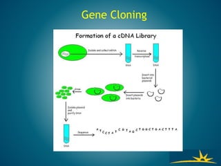 Gene Cloning
 