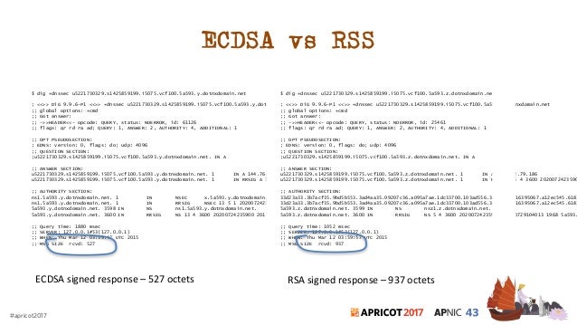 Cryptography - RSA and ECDSA