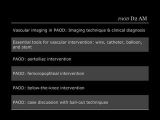 PAOD D2 AM
Vascular imaging in PAOD: Imaging technique & clinical diagnosis
Essential tools for vascular intervention: wir...