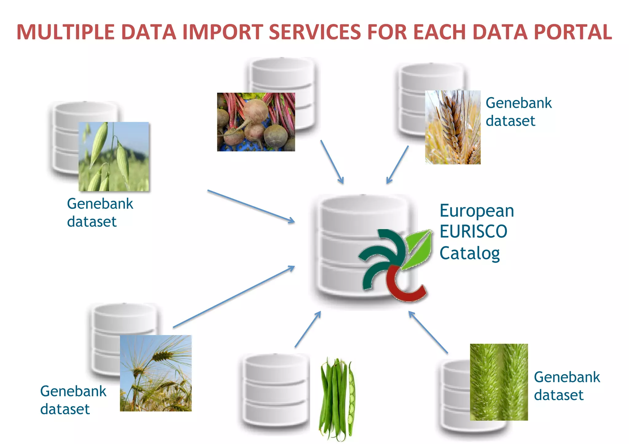 Genebank
dataset	
European
EURISCO
Catalog	
MULTIPLE	DATA	IMPORT	SERVICES	FOR	EACH	DATA	PORTAL	
Genebank
dataset	
Genebank
dataset	
Genebank
dataset	
 