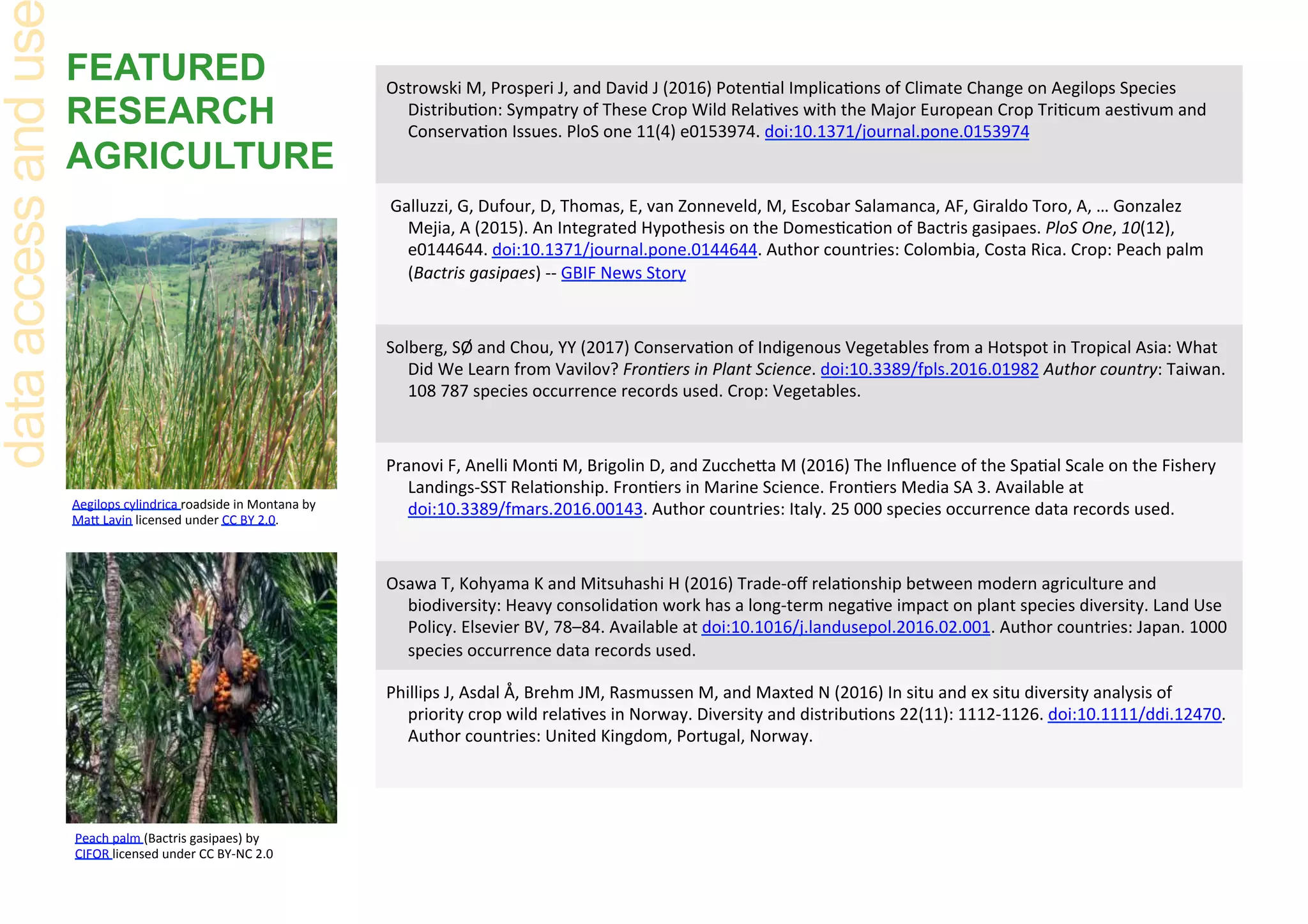 FEATURED
RESEARCH
AGRICULTURE
Ostrowski	M,	Prosperi	J,	and	David	J	(2016)	Poten9al	Implica9ons	of	Climate	Change	on	Aegilops	Species	
Distribu9on:	Sympatry	of	These	Crop	Wild	Rela9ves	with	the	Major	European	Crop	Tri9cum	aes9vum	and	
Conserva9on	Issues.	PloS	one	11(4)	e0153974.	doi:10.1371/journal.pone.0153974	
	Galluzzi,	G,	Dufour,	D,	Thomas,	E,	van	Zonneveld,	M,	Escobar	Salamanca,	AF,	Giraldo	Toro,	A,	…	Gonzalez	
Mejia,	A	(2015).	An	Integrated	Hypothesis	on	the	Domes9ca9on	of	Bactris	gasipaes.	PloS	One,	10(12),	
e0144644.	doi:10.1371/journal.pone.0144644.	Author	countries:	Colombia,	Costa	Rica.	Crop:	Peach	palm	
(Bactris	gasipaes)	--	GBIF	News	Story	
Solberg,	SØ	and	Chou,	YY	(2017)	Conserva9on	of	Indigenous	Vegetables	from	a	Hotspot	in	Tropical	Asia:	What	
Did	We	Learn	from	Vavilov?	Fron=ers	in	Plant	Science.	doi:10.3389/fpls.2016.01982	Author	country:	Taiwan.	
108	787	species	occurrence	records	used.	Crop:	Vegetables.	
	
Pranovi	F,	Anelli	Mon9	M,	Brigolin	D,	and	Zucchera	M	(2016)	The	Inﬂuence	of	the	Spa9al	Scale	on	the	Fishery	
Landings-SST	Rela9onship.	Fron9ers	in	Marine	Science.	Fron9ers	Media	SA	3.	Available	at	
doi:10.3389/fmars.2016.00143.	Author	countries:	Italy.	25	000	species	occurrence	data	records	used.	
Osawa	T,	Kohyama	K	and	Mitsuhashi	H	(2016)	Trade-oﬀ	rela9onship	between	modern	agriculture	and	
biodiversity:	Heavy	consolida9on	work	has	a	long-term	nega9ve	impact	on	plant	species	diversity.	Land	Use	
Policy.	Elsevier	BV,	78–84.	Available	at	doi:10.1016/j.landusepol.2016.02.001.	Author	countries:	Japan.	1000	
species	occurrence	data	records	used.	
Phillips	J,	Asdal	Å,	Brehm	JM,	Rasmussen	M,	and	Maxted	N	(2016)	In	situ	and	ex	situ	diversity	analysis	of	
priority	crop	wild	rela9ves	in	Norway.	Diversity	and	distribu9ons	22(11):	1112-1126.	doi:10.1111/ddi.12470.	
Author	countries:	United	Kingdom,	Portugal,	Norway.	
dataaccessandus
Aegilops	cylindrica	roadside	in	Montana	by		
Mar	Lavin	licensed	under	CC	BY	2.0.	
Peach	palm	(Bactris	gasipaes)	by	
CIFOR	licensed	under	CC	BY-NC	2.0	
 