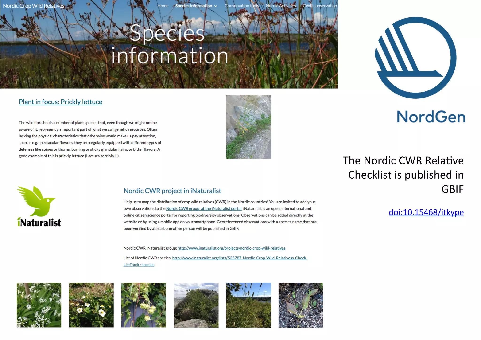 The	Nordic	CWR	Rela9ve	
Checklist	is	published	in	
GBIF	
	
doi:10.15468/itkype	
 