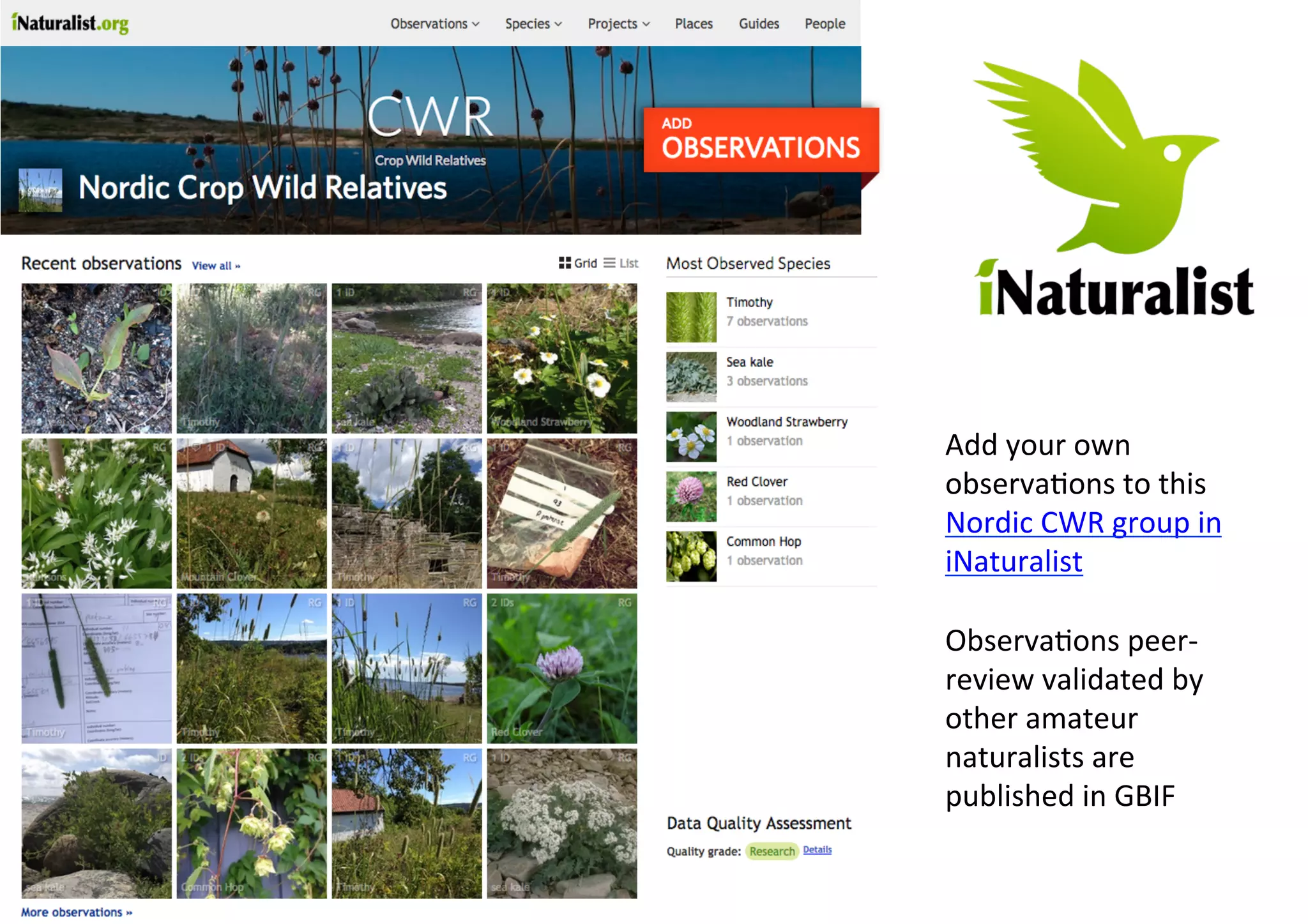 Add	your	own	
observa9ons	to	this	
Nordic	CWR	group	in	
iNaturalist	
	
Observa9ons	peer-
review	validated	by	
other	amateur	
naturalists	are	
published	in	GBIF	
 