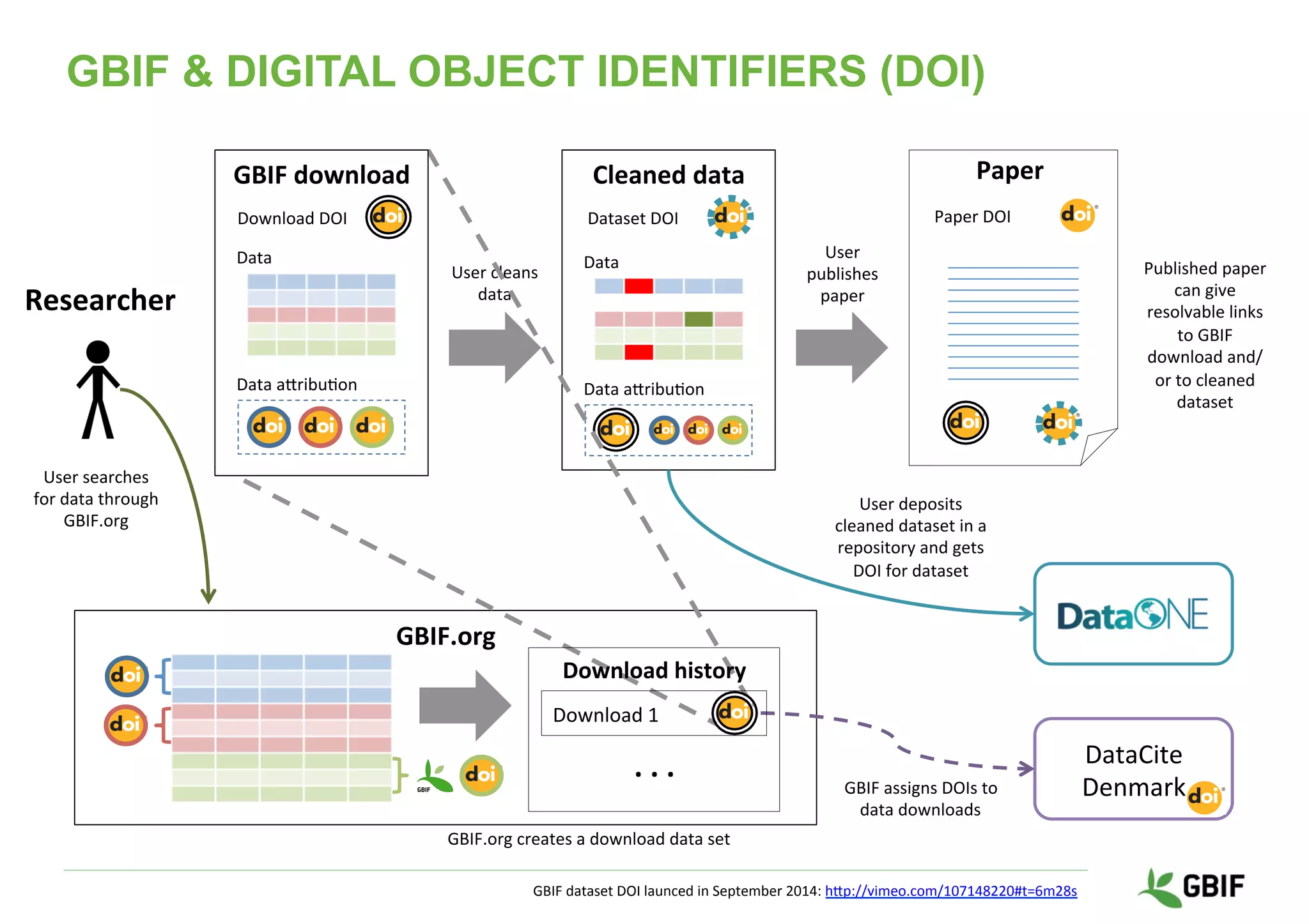 User	searches	
for	data	through	
GBIF.org	
DataCite	
Denmark	
GBIF.org	
	
	
	
	
	
GBIF	assigns	DOIs	to		
data	downloads	
Cleaned	data	
	
	
	
	
	
	
	
	
	
Data	
Data	arribu9on	
Dataset	DOI	
Researcher	
Paper	
Paper	DOI	
User	deposits	
cleaned	dataset	in	a	
repository	and	gets	
DOI	for	dataset	
Published	paper	
can	give	
resolvable	links	
to	GBIF	
download	and/
or	to	cleaned	
dataset	
User	cleans	
data	
User	
publishes	
paper	
GBIF	download	
	
	
	
	
	
	
	
	
	
Data	
Data	arribu9on	
Download	DOI	
Download	history	
	
	
	
	
	
Download	1	
.	.	.	
GBIF.org	creates	a	download	data	set	
GBIF & DIGITAL OBJECT IDENTIFIERS (DOI)
GBIF	dataset	DOI	launced	in	September	2014:	hrp://vimeo.com/107148220#t=6m28s	
 