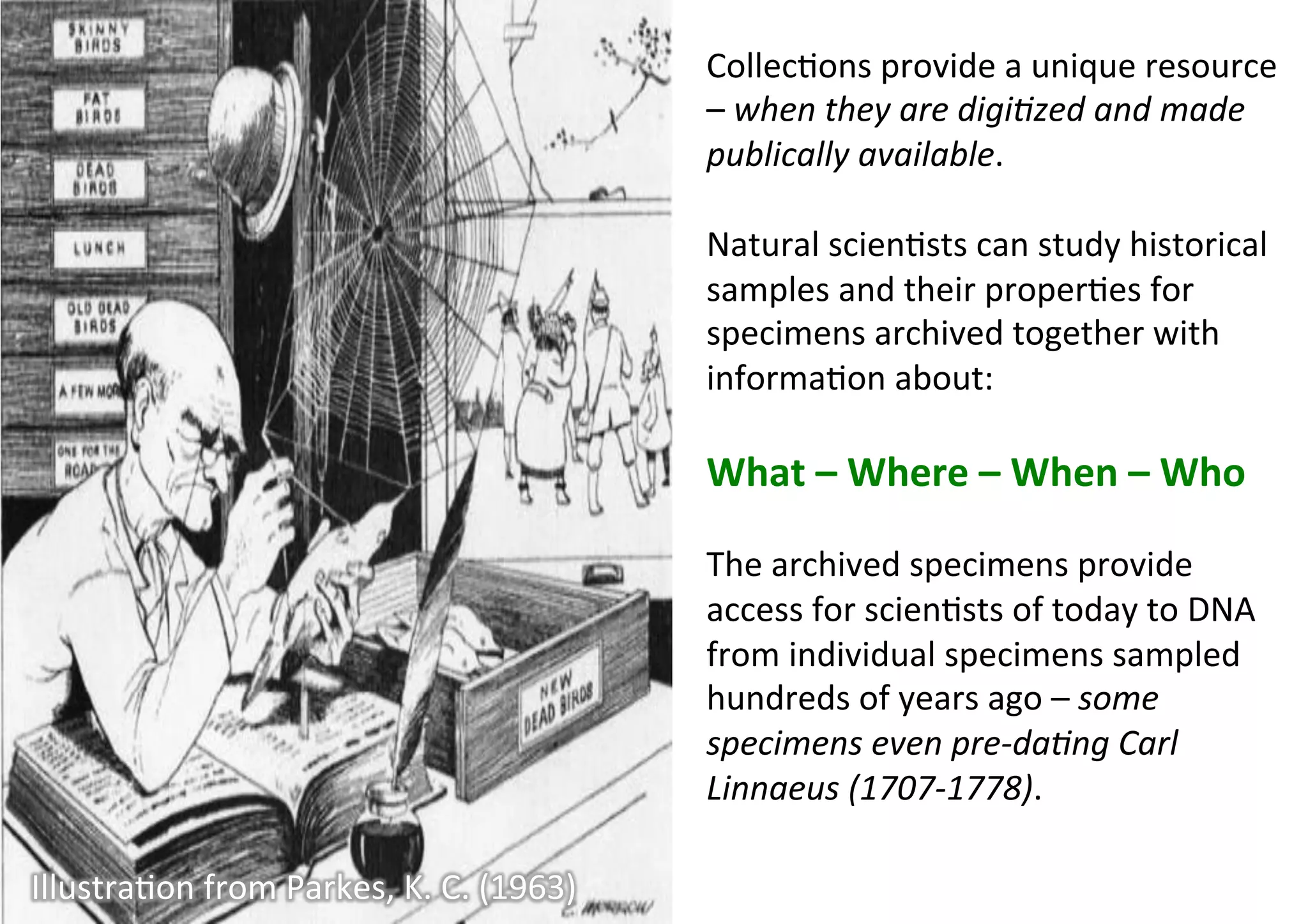 Collec9ons	provide	a	unique	resource	
–	when	they	are	digi=zed	and	made	
publically	available.	
	
Natural	scien9sts	can	study	historical	
samples	and	their	proper9es	for	
specimens	archived	together	with	
informa9on	about:	
	
What	–	Where	–	When	–	Who	
	
The	archived	specimens	provide	
access	for	scien9sts	of	today	to	DNA	
from	individual	specimens	sampled	
hundreds	of	years	ago	–	some	
specimens	even	pre-da=ng	Carl	
Linnaeus	(1707-1778).	
Illustra9on	from	Parkes,	K.	C.	(1963)	
 