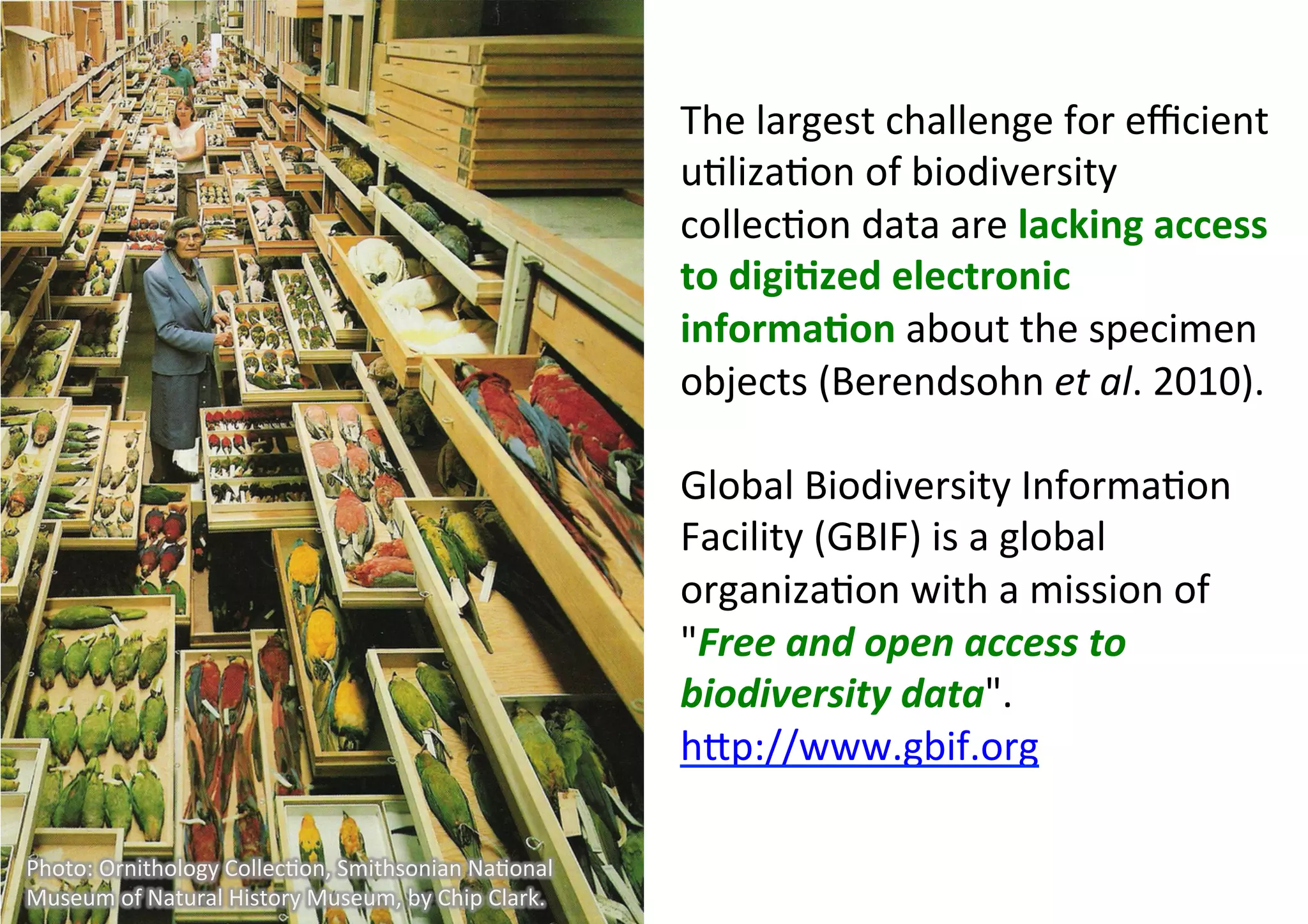 The	largest	challenge	for	eﬃcient	
u9liza9on	of	biodiversity	
collec9on	data	are	lacking	access	
to	digiAzed	electronic	
informaAon	about	the	specimen	
objects	(Berendsohn	et	al.	2010).	
	
Global	Biodiversity	Informa9on	
Facility	(GBIF)	is	a	global	
organiza9on	with	a	mission	of	
"Free	and	open	access	to	
biodiversity	data".	
hrp://www.gbif.org		
Photo:	Ornithology	Collec9on,	Smithsonian	Na9onal	
Museum	of	Natural	History	Museum,	by	Chip	Clark.	
 