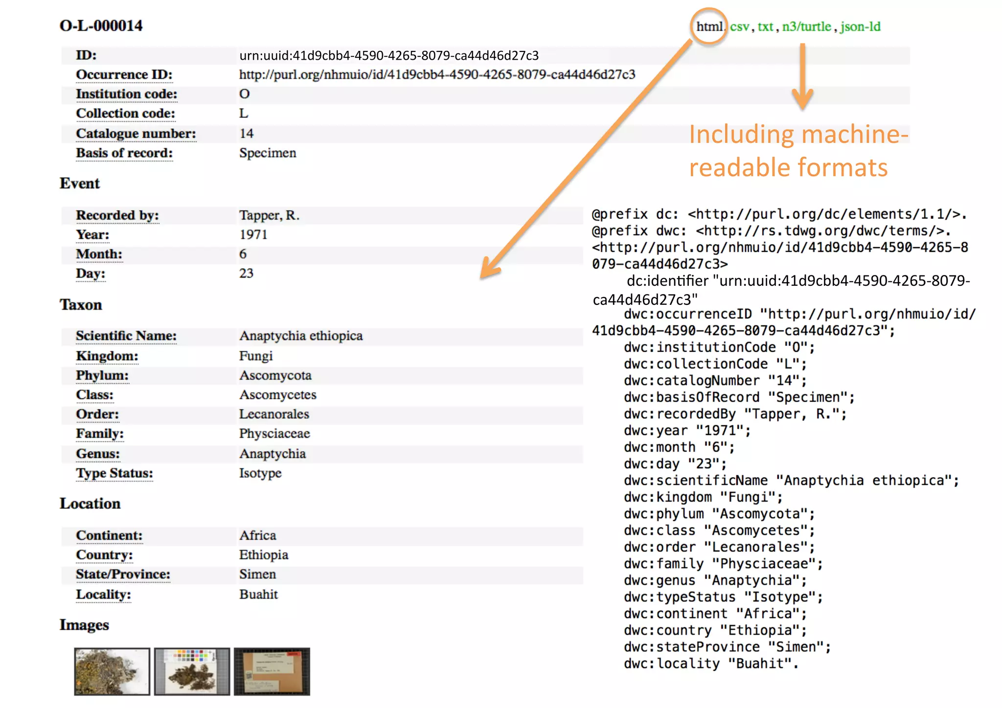 Including	machine-	
readable	formats	
urn:uuid:41d9cbb4-4590-4265-8079-ca44d46d27c3		
									dc:iden9ﬁer	"urn:uuid:41d9cbb4-4590-4265-8079-	
ca44d46d27c3"	
 
