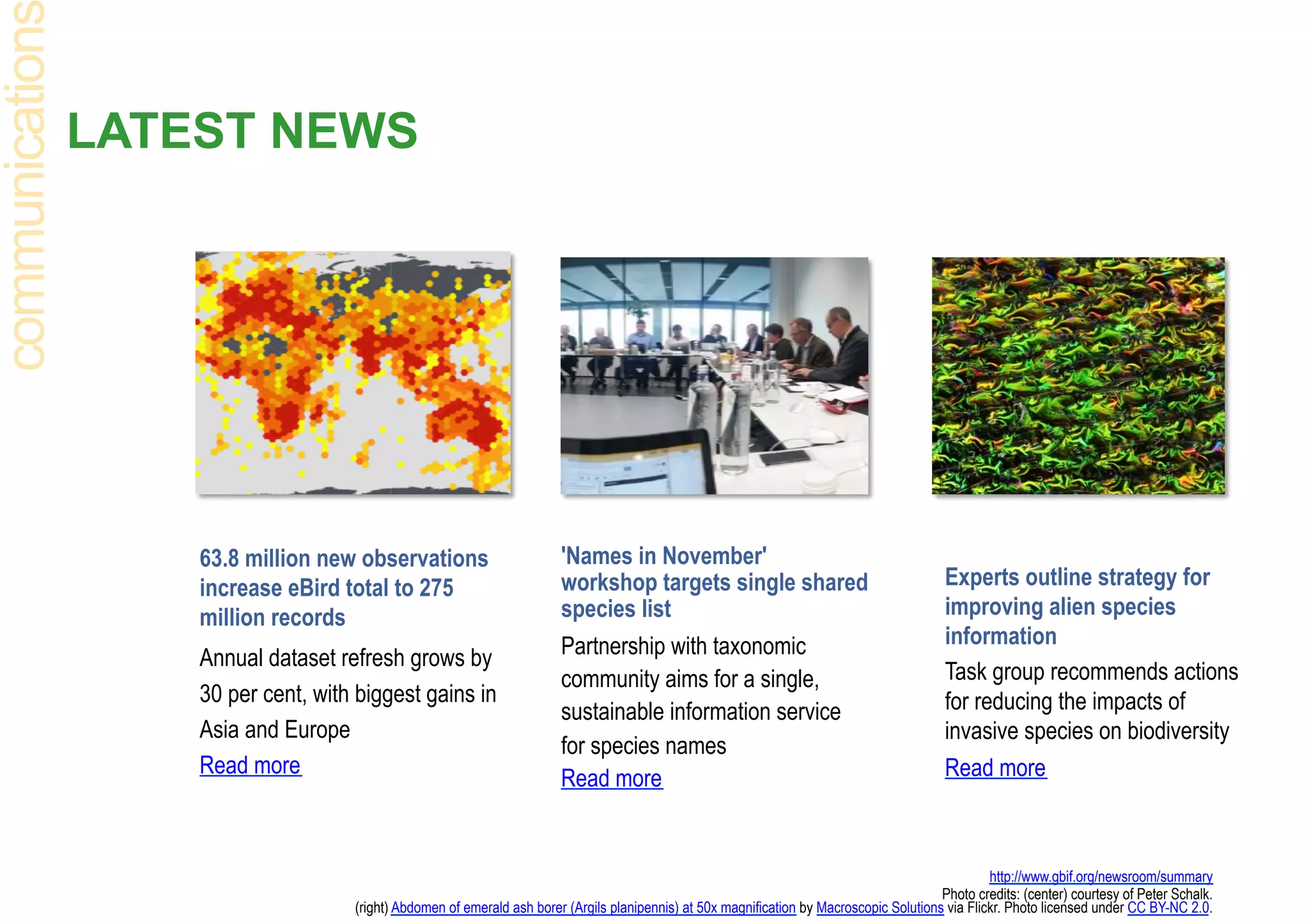 LATEST NEWS
'Names in November'
workshop targets single shared
species list
Partnership with taxonomic
community aims for a single,
sustainable information service
for species names
Read more
63.8 million new observations
increase eBird total to 275
million records
Annual dataset refresh grows by
30 per cent, with biggest gains in
Asia and Europe
Read more
http://www.gbif.org/newsroom/summary
Photo credits: (center) courtesy of Peter Schalk.
(right) Abdomen of emerald ash borer (Argils planipennis) at 50x magnification by Macroscopic Solutions via Flickr. Photo licensed under CC BY-NC 2.0.
communication
Experts outline strategy for
improving alien species
information
Task group recommends actions
for reducing the impacts of
invasive species on biodiversity
Read more
 