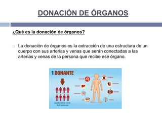 DONACIÓN DE ÓRGANOS
¿Qué es la donación de órganos?
 La donación de órganos es la extracción de una estructura de un
cuerpo con sus arterias y venas que serán conectadas a las
arterias y venas de la persona que recibe ese órgano.
 