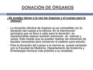 DONACIÓN DE ÓRGANOS
¿Se pueden donar a la vez los órganos y el cuerpo para la
ciencia?
 La donación efectiva de órganos no es compatible con la
donación del cuerpo a la ciencia. En la intervención
quirúrgica que se lleva a cabo para la donación, es
imprescindible realizar también extracción de arterias y
venas. Esto impide que se puedan realizar las infusiones de
líquidos necesarias para conservar el cadáver para estudio.
 Para la donación del cuerpo a la ciencia se puede contactar
con la Facultad de Medicina, Departamento de Anatomía y
Embriología Humana más próxima a su localidad.
 