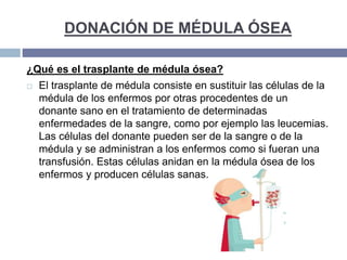 DONACIÓN DE MÉDULA ÓSEA
¿Qué es el trasplante de médula ósea?
 El trasplante de médula consiste en sustituir las células de la
médula de los enfermos por otras procedentes de un
donante sano en el tratamiento de determinadas
enfermedades de la sangre, como por ejemplo las leucemias.
Las células del donante pueden ser de la sangre o de la
médula y se administran a los enfermos como si fueran una
transfusión. Estas células anidan en la médula ósea de los
enfermos y producen células sanas.
 