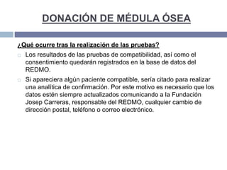 DONACIÓN DE MÉDULA ÓSEA
¿Qué ocurre tras la realización de las pruebas?
 Los resultados de las pruebas de compatibilidad, así como el
consentimiento quedarán registrados en la base de datos del
REDMO.
 Si apareciera algún paciente compatible, sería citado para realizar
una analítica de confirmación. Por este motivo es necesario que los
datos estén siempre actualizados comunicando a la Fundación
Josep Carreras, responsable del REDMO, cualquier cambio de
dirección postal, teléfono o correo electrónico.
 