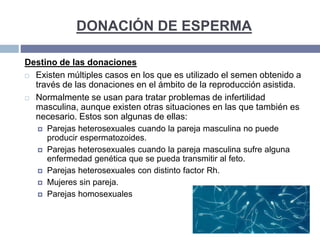 DONACIÓN DE ESPERMA
Destino de las donaciones
 Existen múltiples casos en los que es utilizado el semen obtenido a
través de las donaciones en el ámbito de la reproducción asistida.
 Normalmente se usan para tratar problemas de infertilidad
masculina, aunque existen otras situaciones en las que también es
necesario. Estos son algunas de ellas:
 Parejas heterosexuales cuando la pareja masculina no puede
producir espermatozoides.
 Parejas heterosexuales cuando la pareja masculina sufre alguna
enfermedad genética que se pueda transmitir al feto.
 Parejas heterosexuales con distinto factor Rh.
 Mujeres sin pareja.
 Parejas homosexuales
 