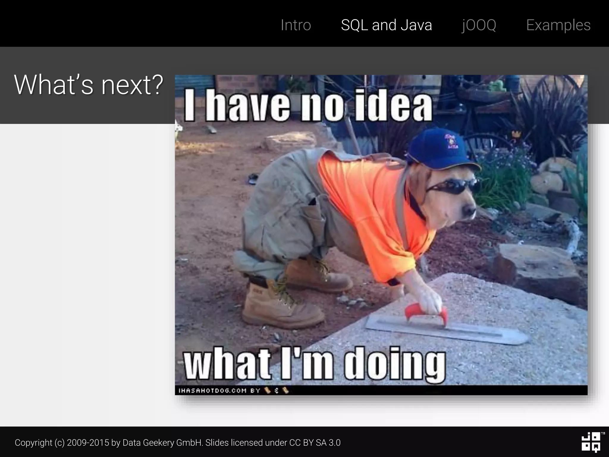 Copyright (c) 2009-2015 by Data Geekery GmbH. Slides licensed under CC BY SA 3.0
Intro SQL and Java jOOQ Examples
What’s next?
 