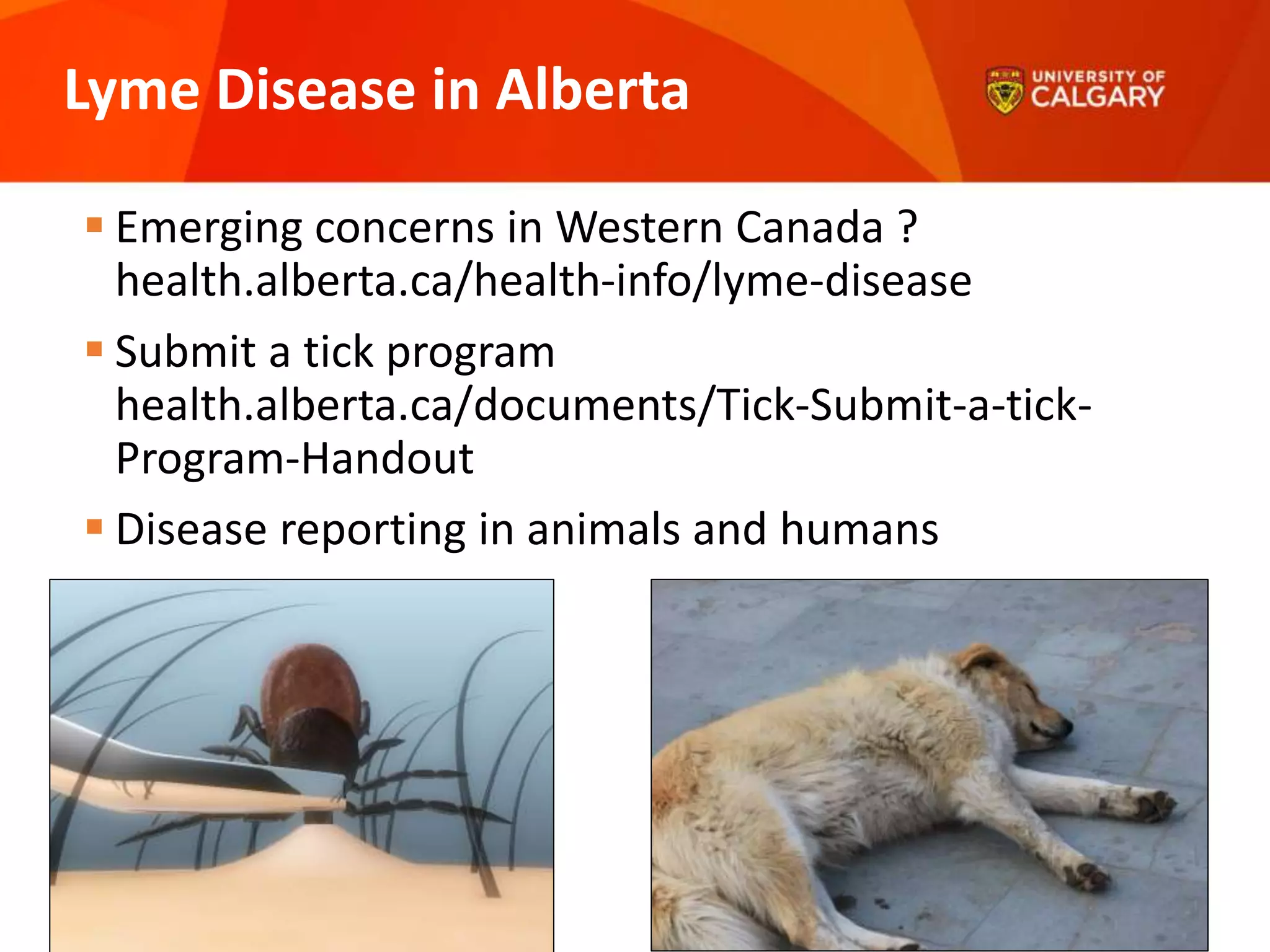 Alberta Modern Human Illnesses The Fossil Evidence: A Window into the Past