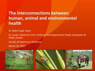 The interconnections between
human, animal and environmental
health
Dr. Baljit Singh, Dean
Dr. Susan Catherine Cork, Professor and Department Head, Ecosystem &
Public Health
Faculty of Veterinary Medicine
March 23, 2017
 