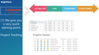 Collaborative Project Management: A 3-Step Framework | PDF