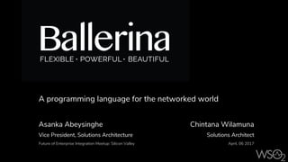 Chintana Wilamuna
Solutions Architect
April, 06 2017
A programming language for the networked world
Asanka Abeysinghe
Vice President, Solutions Architecture
Future of Enterprise Integration Meetup: Silicon Valley
 
