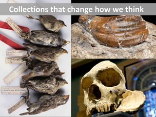 Collections that change how we think
 