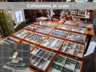 Collections at scale
 