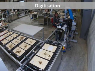 Digitisation
Digitisation
 